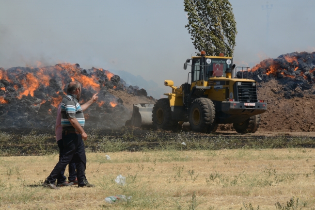 Besicinin umudu otlar kül oldu