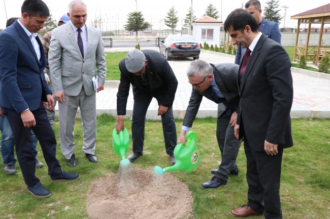 Cumhurbaşkanı Erdoğan'dan şehit Halisdemir'in ailesine karaçam tohumu