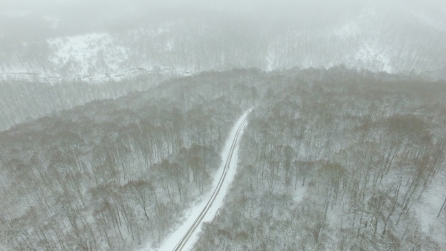 Istranca Ormanları beyaza büründü