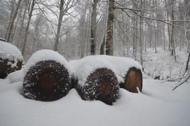 Istranca Ormanları beyaza büründü