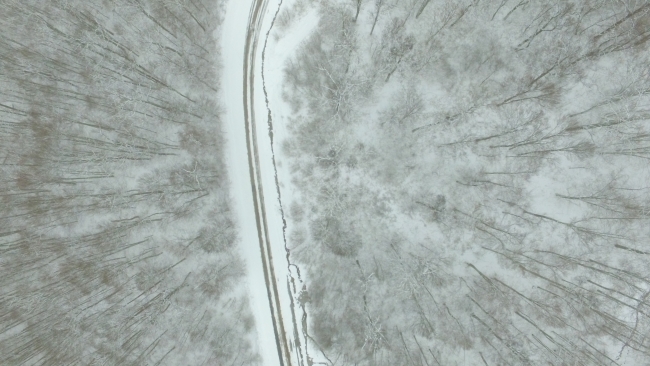 Istranca Ormanları beyaza büründü
