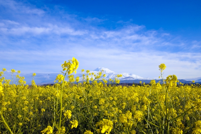 "Türkiye'nin çatısı" yeniden gelinliğini giydi
