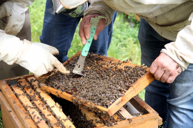 Genç çiftçiler hayallerine devlet desteğiyle kavuşuyor
