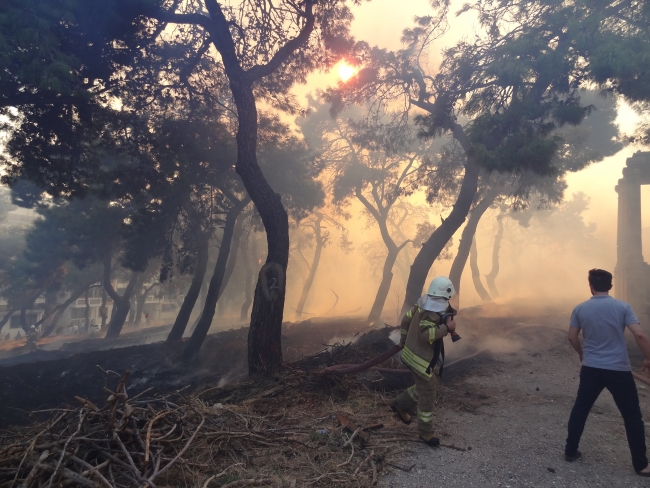 Çanakkale merkezde otluk alanda yangın