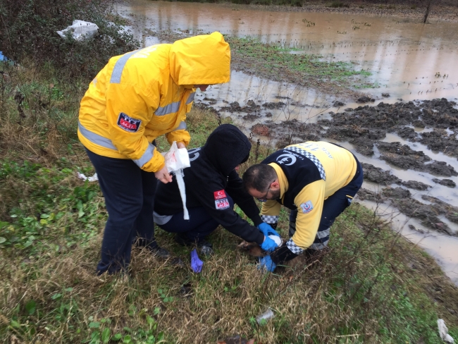 Yaralı köpeğe 112 Acil Servis ekibi müdahale etti