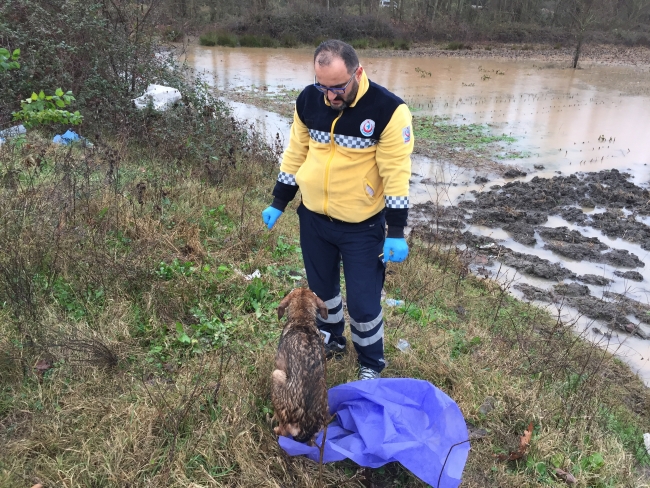Yaralı köpeğe 112 Acil Servis ekibi müdahale etti