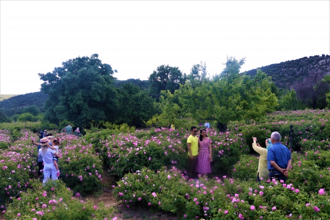 Isparta'da Gül Festivali