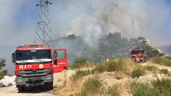 Muğla'da orman yangını