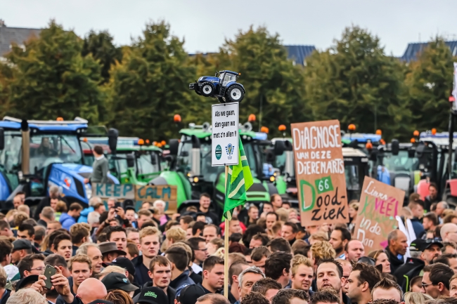 Hollanda'da çiftçilerden hükümetin tarım politikasına protesto