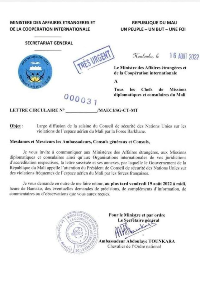 Mali, Fransa'yı BMGK'ya şikayet etti. 