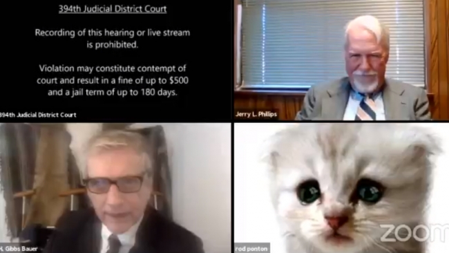 Çevrim içi duruşmaya görüntü filtresiyle katıldı: Kedi değilim