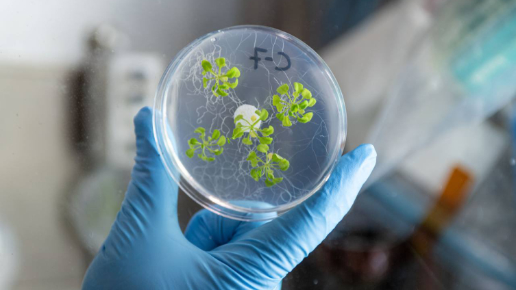 Gezeravcı: Attığımız her bir adım dünyamızın geleceği için