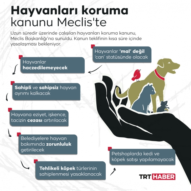 Hayvanları Koruma Kanunu Meclis'te