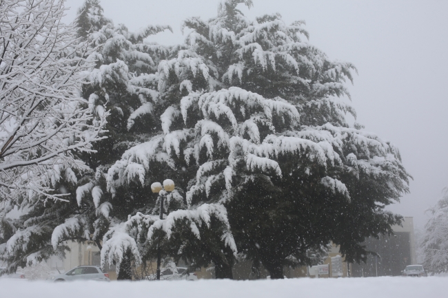 Fotoğraf: TRT Haber