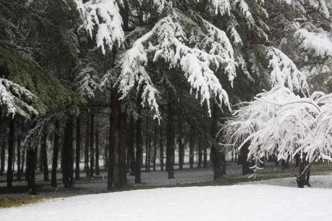 Fotoğraf: TRT Haber