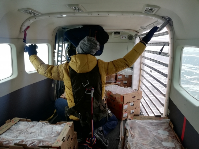 Karda mahsur kalan hayvanlara havadan yiyecek atıldı