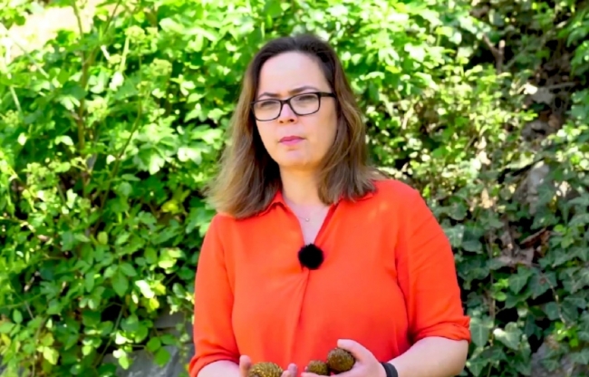 Biyolog Hande Karadelik / Fotoğraf: TRT Haber'