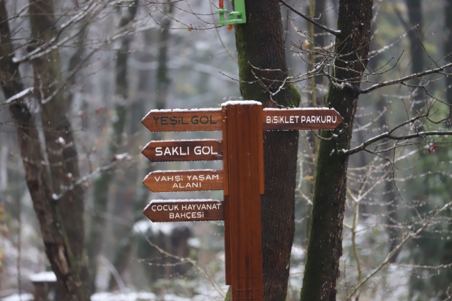Kocaeli'nin doğal yaşam parkı "Ormanya"
