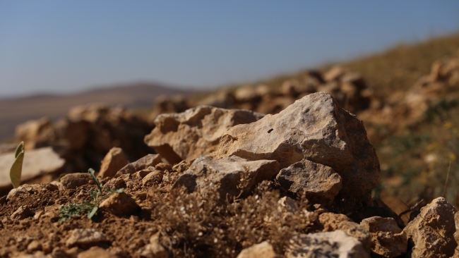 Türk ulusunun kanıyla yazılan destan: Sakarya Zaferi