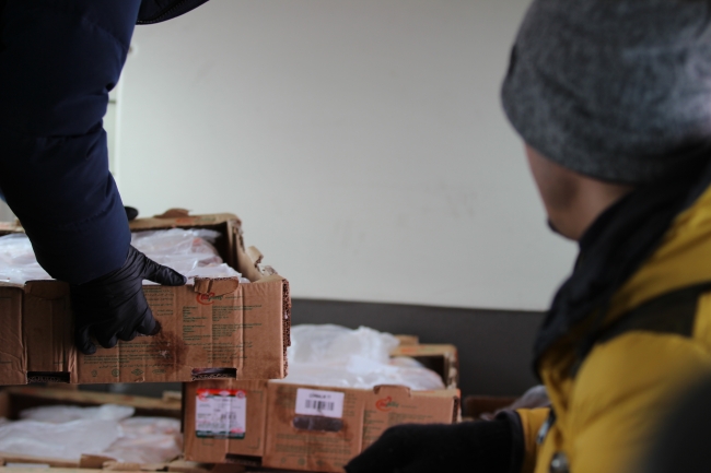 Karda mahsur kalan hayvanlara havadan yiyecek atıldı