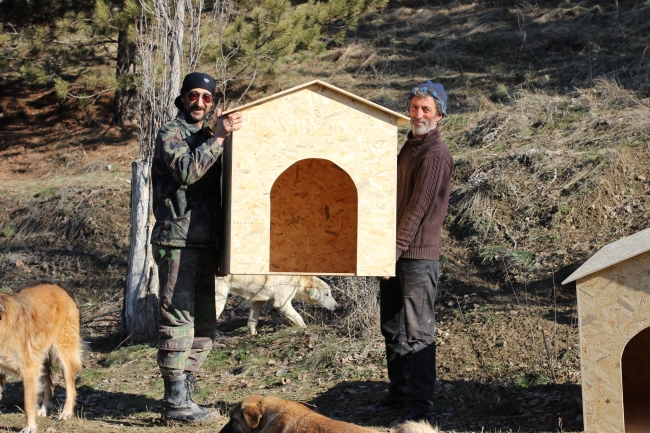 Anne şefkati patilere park oldu