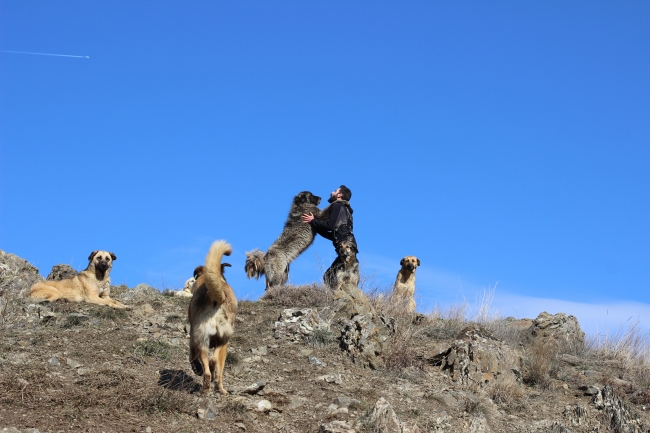 Anne şefkati patilere park oldu