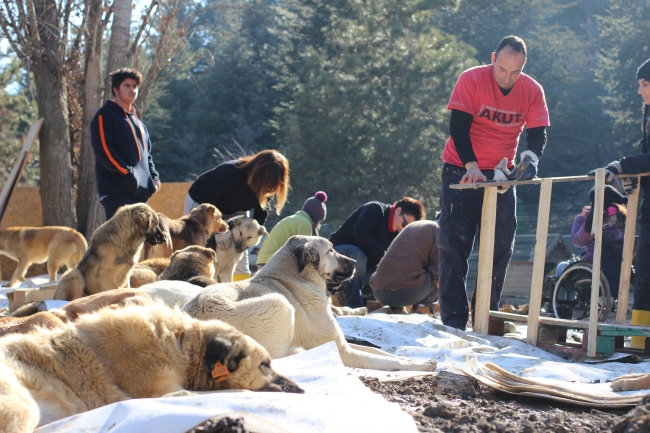 Anne şefkati patilere park oldu
