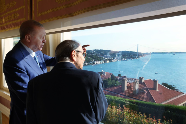 Cumhurbaşkanı Erdoğan Lübnan Başbakanı Salam'ı kabul etti