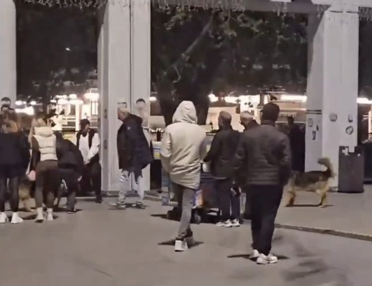 Ağızlıksız pitbullu diğer köpeklerin üzerine salan kişiye para cezası