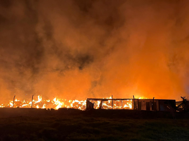 İzmir'de çöp depolama alanında yangın çıktı
