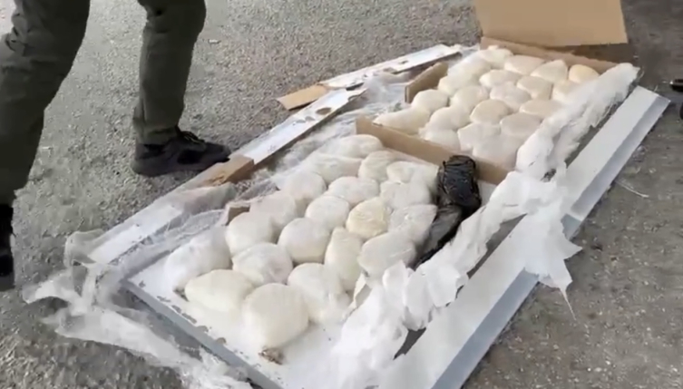 Kamyonetteki 39 kilo 650 gram uyuşturucuyu "Pars" buldu