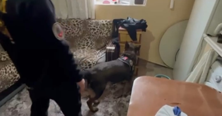 Kars'ta uyuşturucu operasyonu: 1 kişi tutuklandı