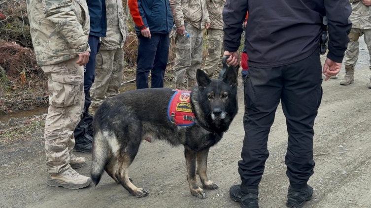 Kastamonu'da kayıp anne ve oğlunu arama çalışmaları 5. gününde