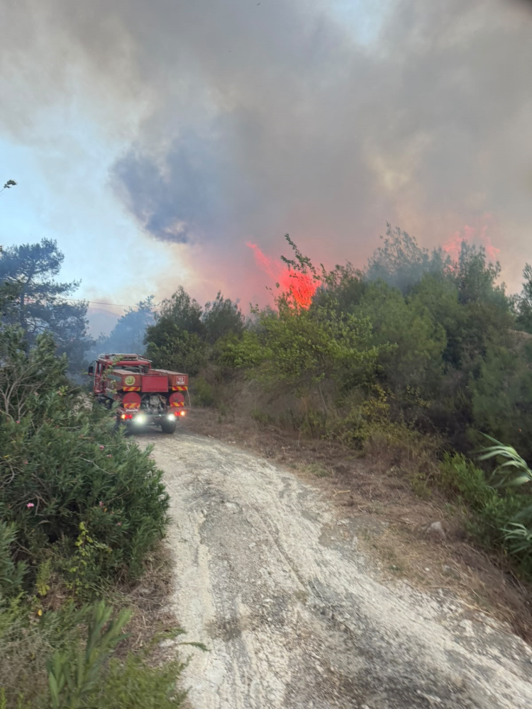 Fotoğraf: DHA