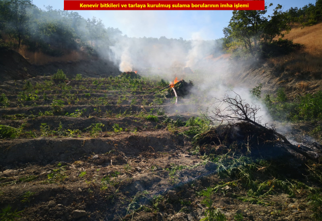 Diyarbakır'da terörün finans kaynağı kurutuluyor