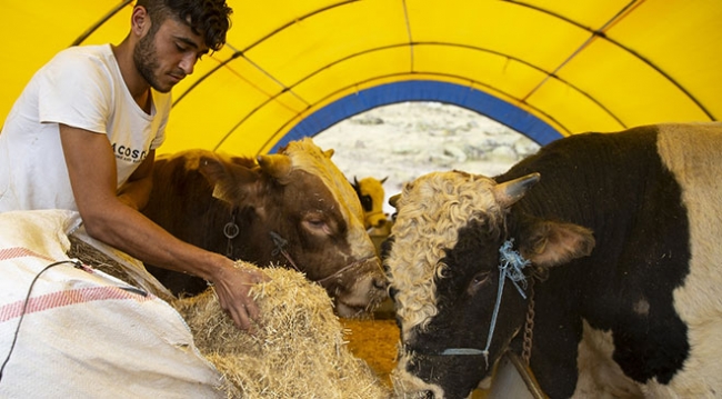 Ankara'da kurban satışı başladı