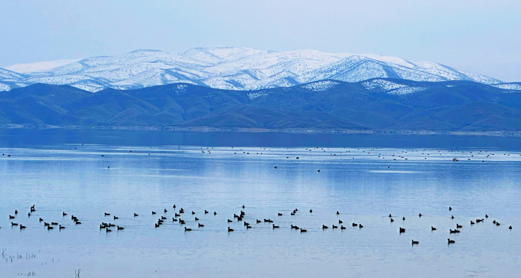 Tunceli'de envanter çalışması: 11 türde 10 bin kuş var