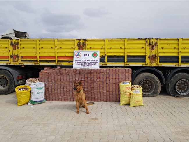 Tır lastiklerinde kaçak sigara