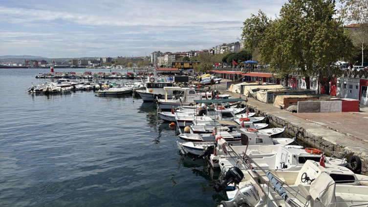 Marmara'yı müsilaj vurdu: Tekirdağlı balıkçılar av sezonunu kapattı