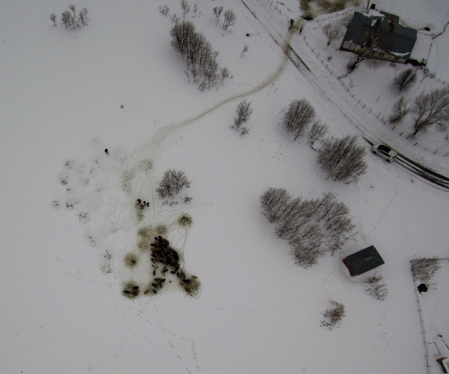 Kara kış Türkiye'yi etkisi altına aldı