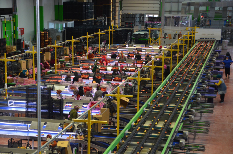 Niğde'de 573 proje Kırsal Kalkınma Destekleri'nden yararlanacak