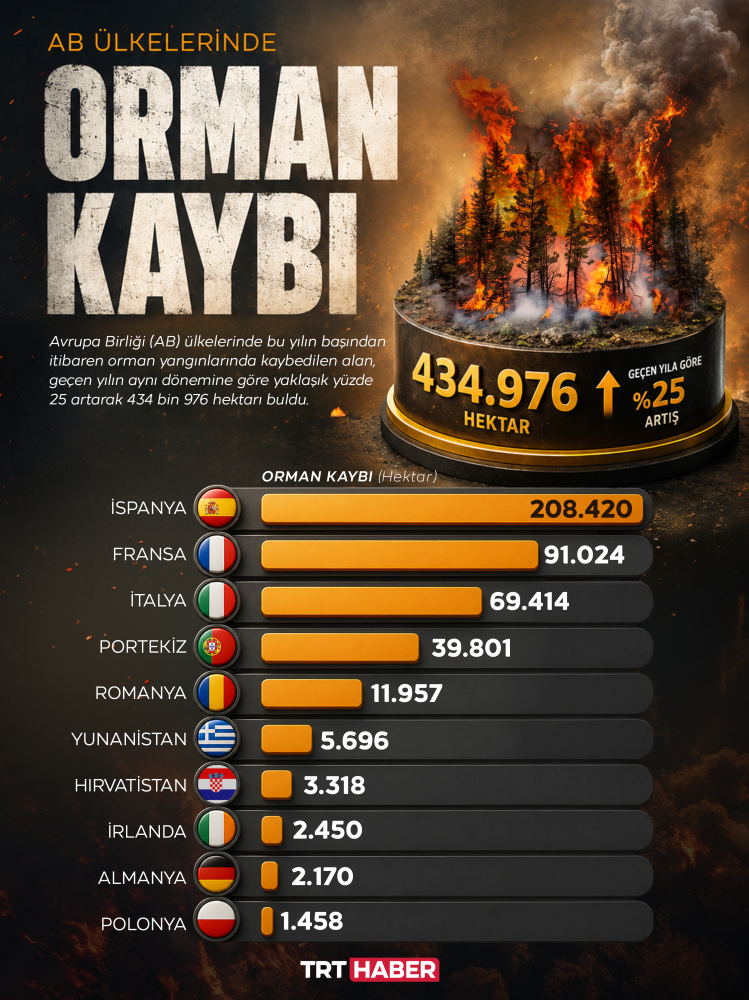 AB ülkelerinde bu yıl orman yangınlarında kayıp 435 bin hektarı buldu