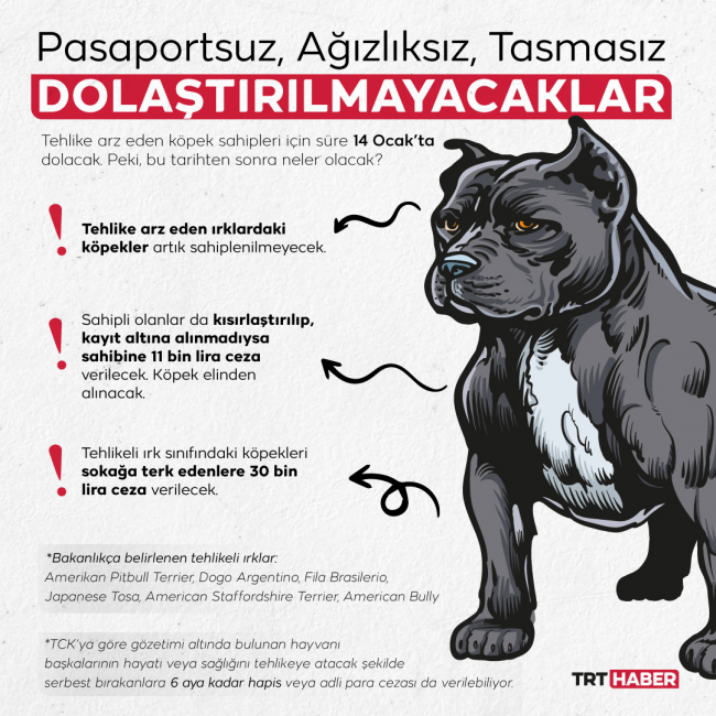 Grafik: TRT Haber
