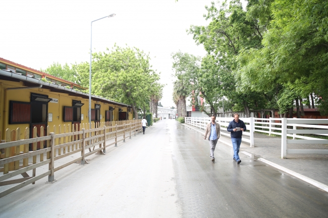 Atlarla değişen hayatlar