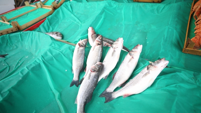 Denizlerde balık stoku azalıyor