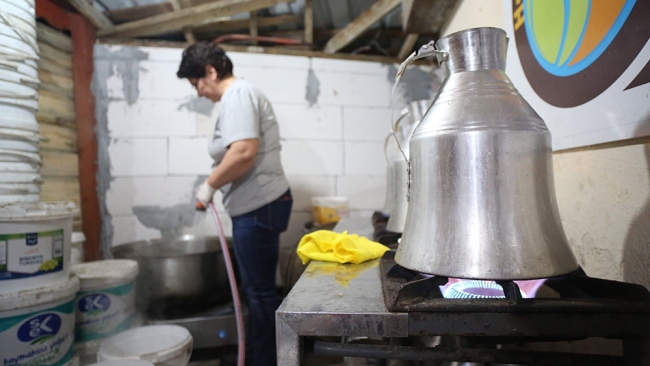 Köpeklerin yolunu gözlediği topluluk: Huysuz İhtiyar