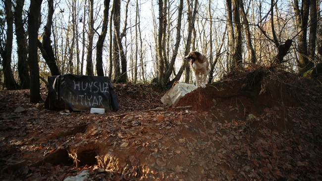 Köpeklerin yolunu gözlediği topluluk: Huysuz İhtiyar