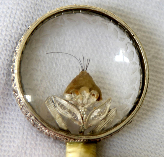 Sakal-ı Şerif'in 250 yıllık muhafızları