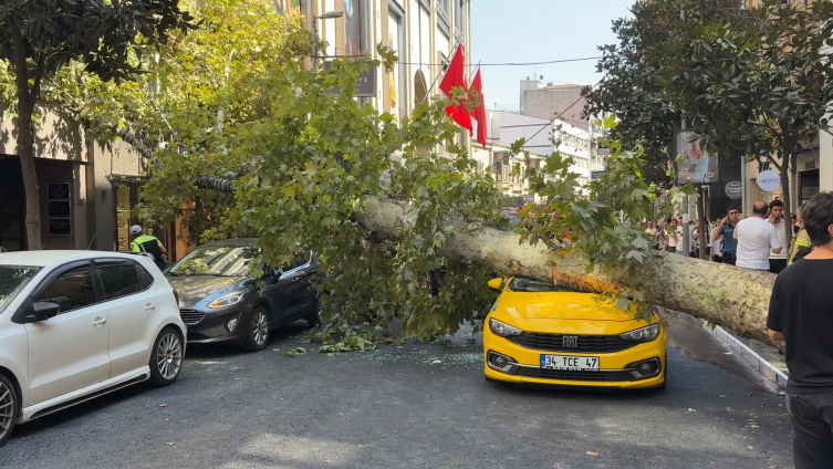 Şişli’de ağaç devrildi: Yol trafiğe kapandı
