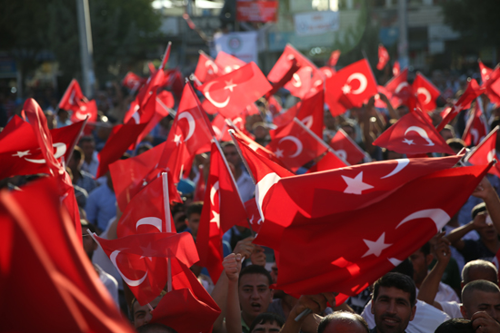 Suruç'ta Türk bayraklarıyla PKK terörüne tepki